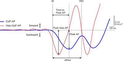 Age-Related Changes of the Anticipatory Postural Adjustments During Gait Initiation Preceded by Vibration of Lower Leg Muscles